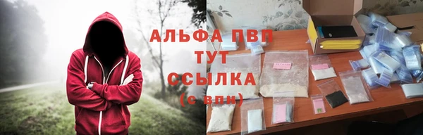 PSILOCYBIN Алексин