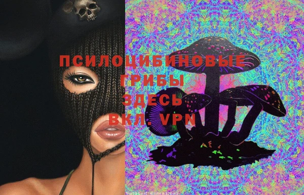 ПСИЛОЦИБИНОВЫЕ ГРИБЫ Алексеевка