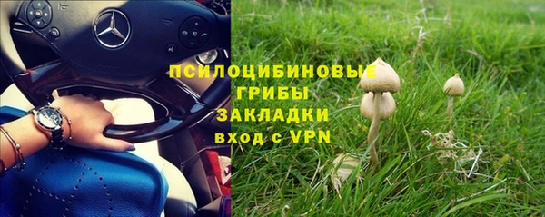 PSILOCYBIN Алексин