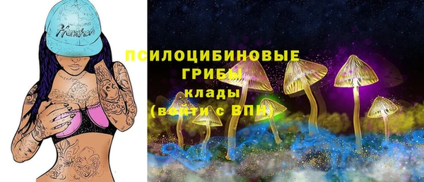 PSILOCYBIN Алексин