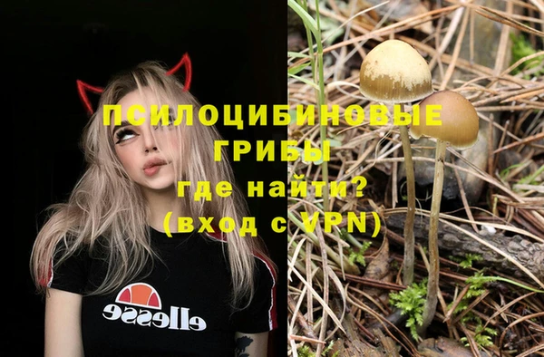 трава Абдулино