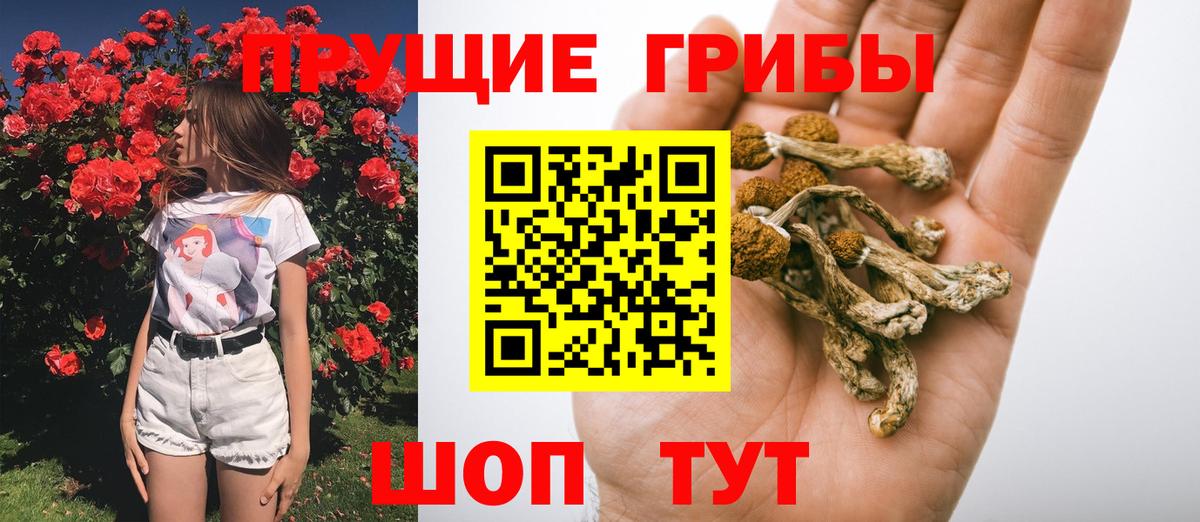 Зеленодольск  Галлюциногенные грибы Psilocybine cubensis  Псилоцибиновые грибы MAGIC MUSHROOMS  Вход с VPN 