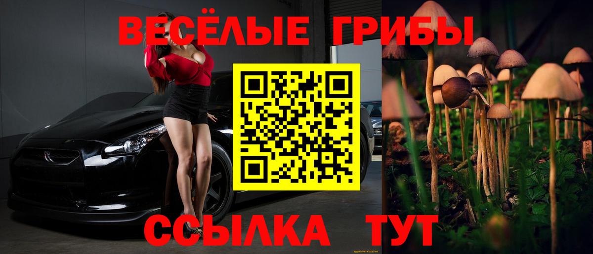 Псилоцибиновые грибы Psilocybe Зеленодольск